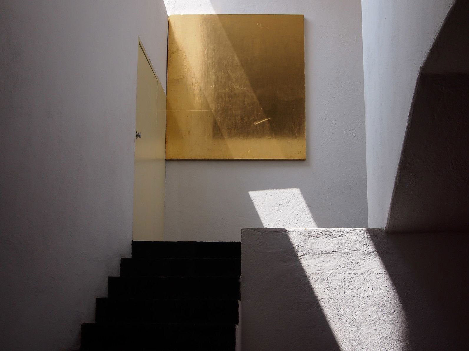 savagepapillon banner