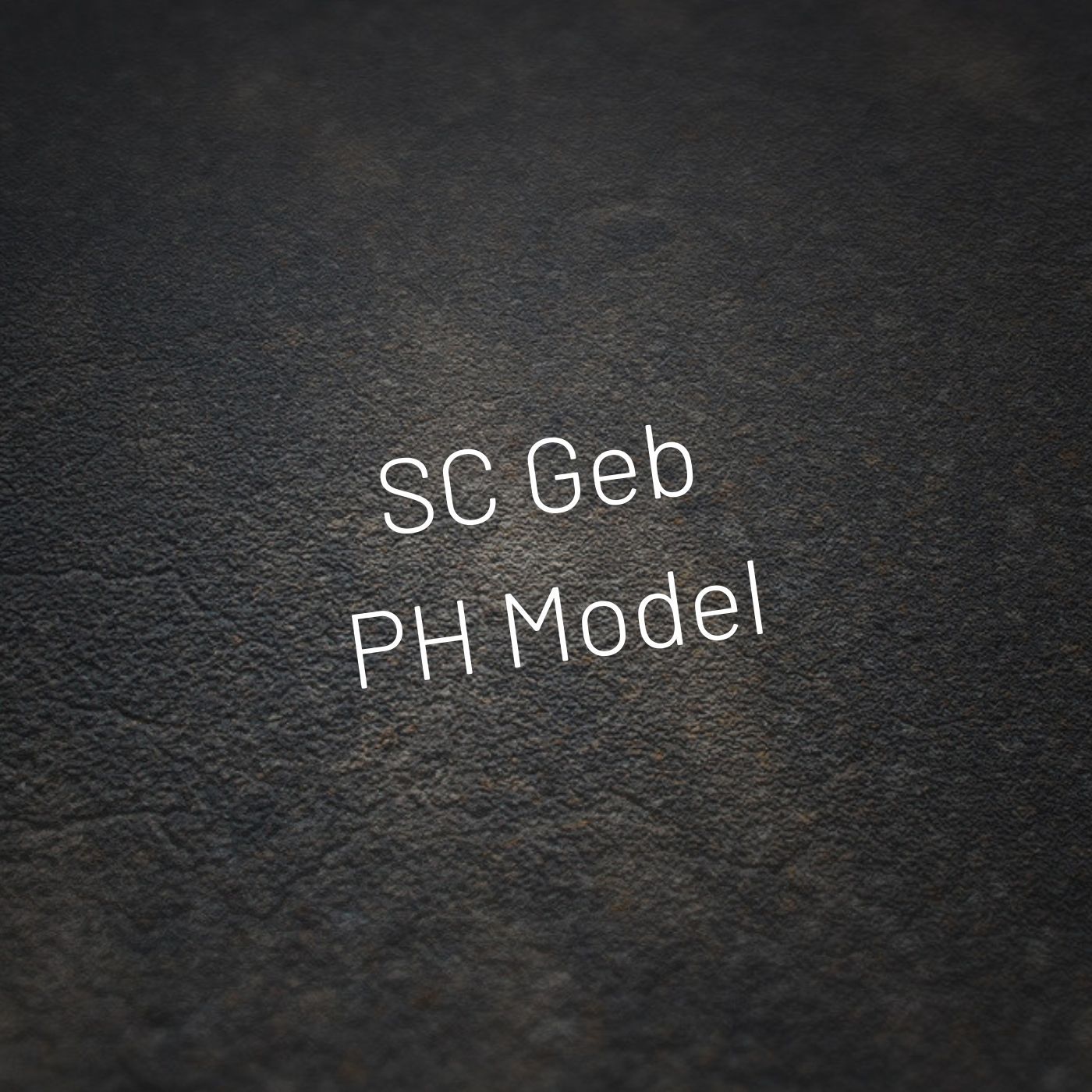 SC Geb profile banner