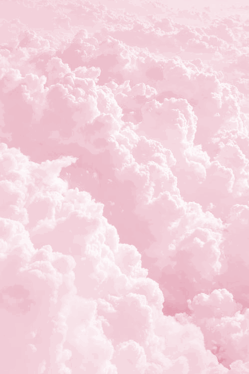 Scarlett Justine profile banner