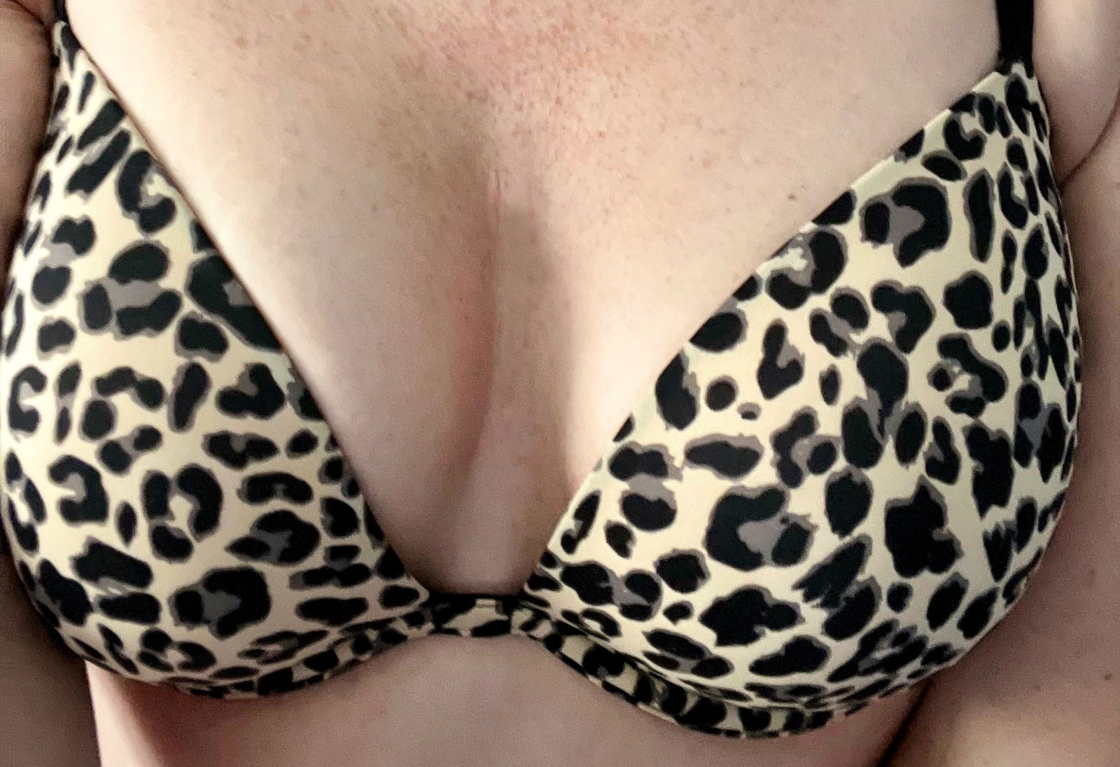 Scarlett Wife profile banner