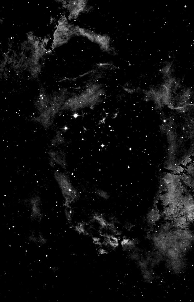 Scarlett profile banner