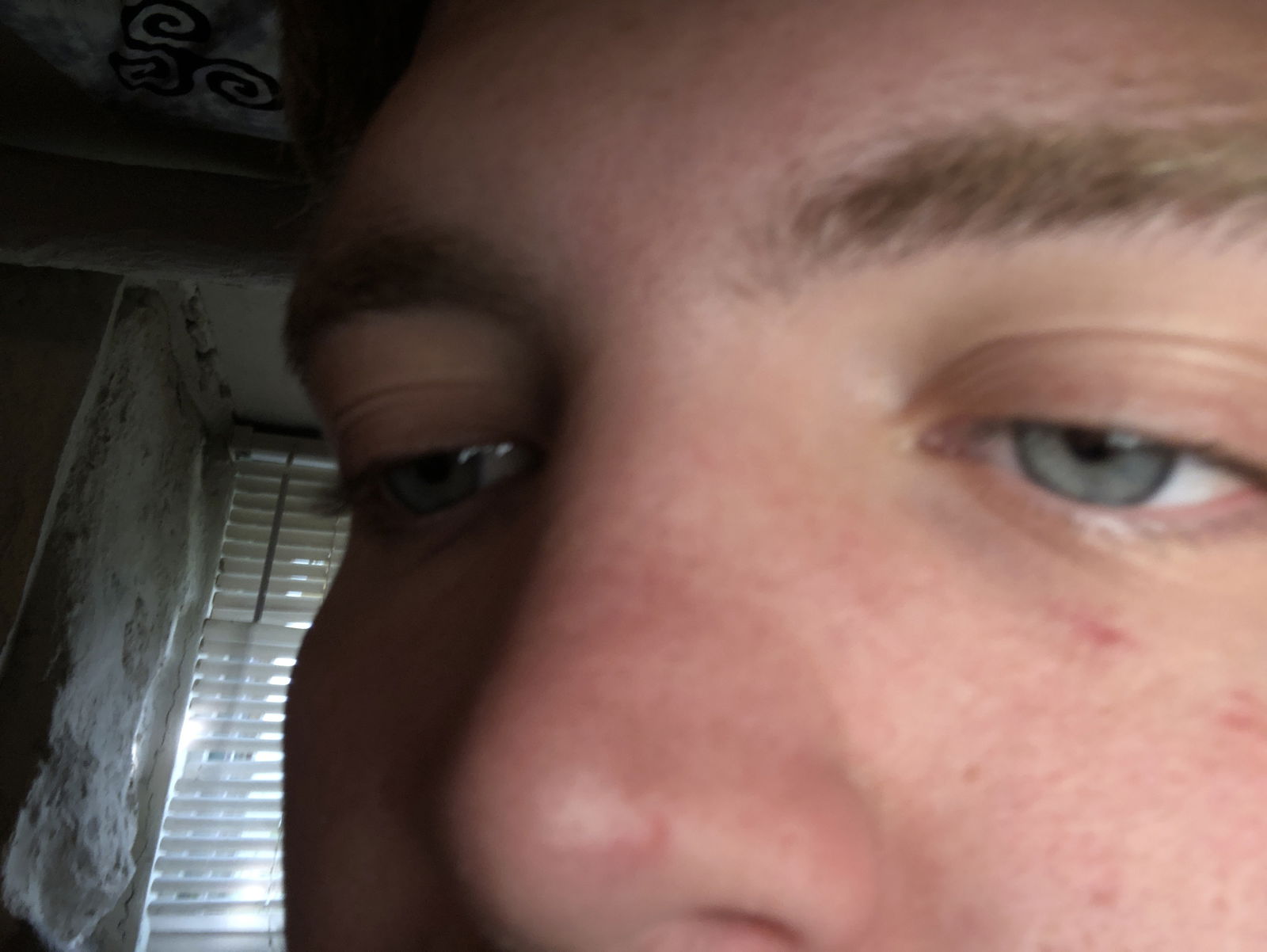 LilDickBigNips profile banner