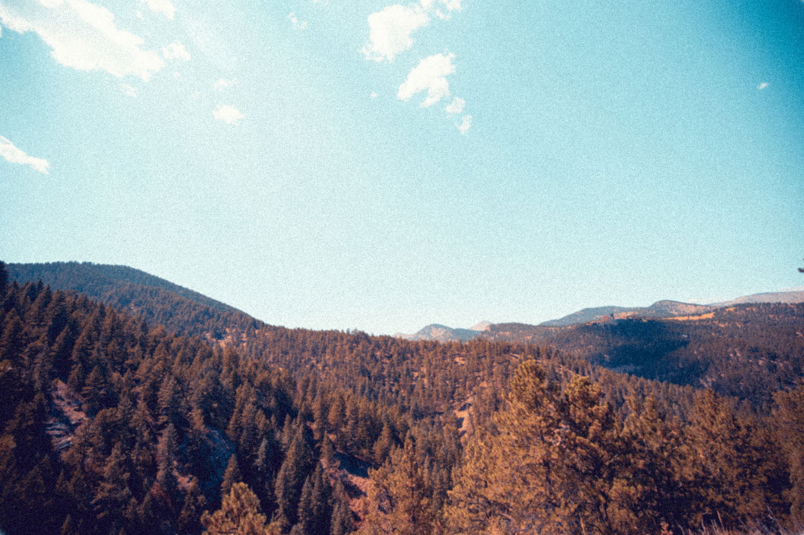 Scrapgod profile banner