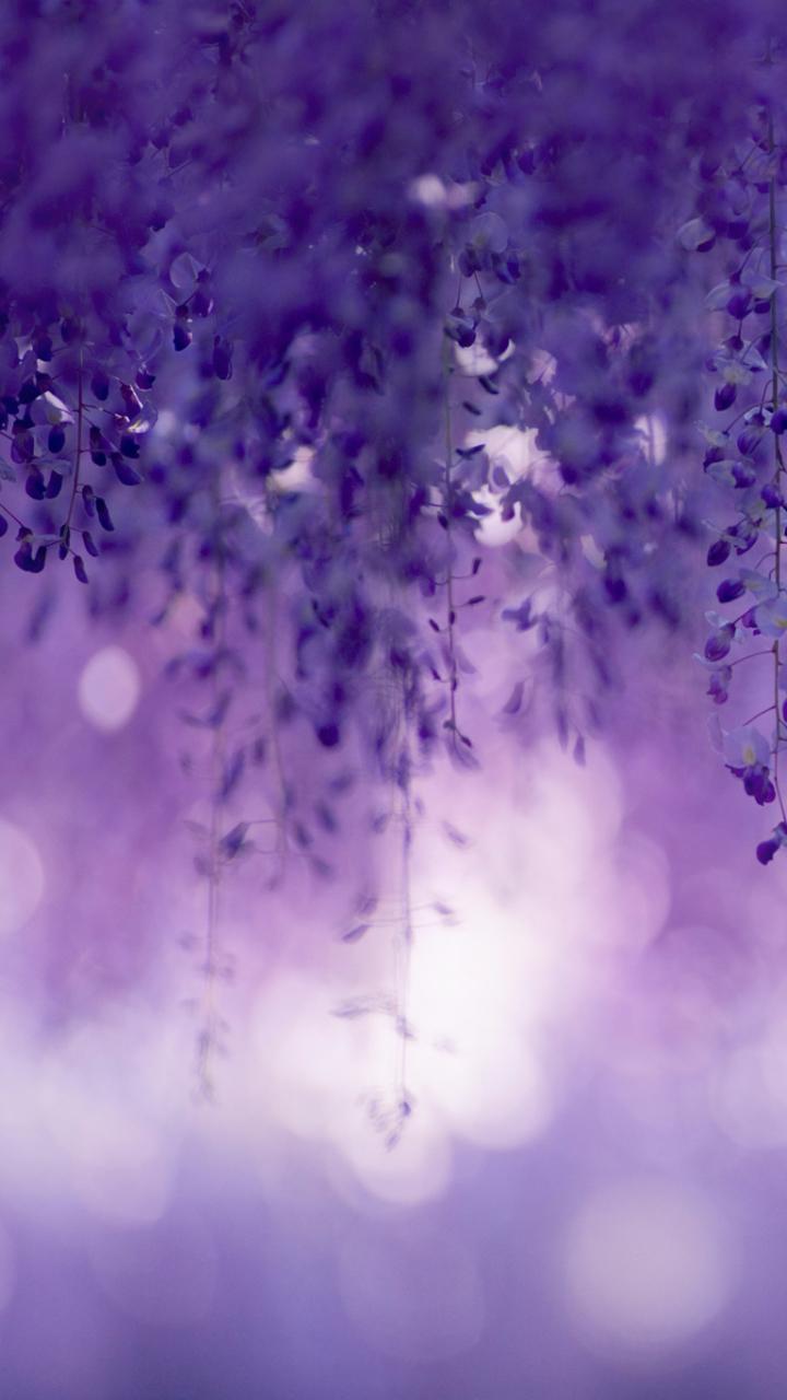 SecretPeach profile banner