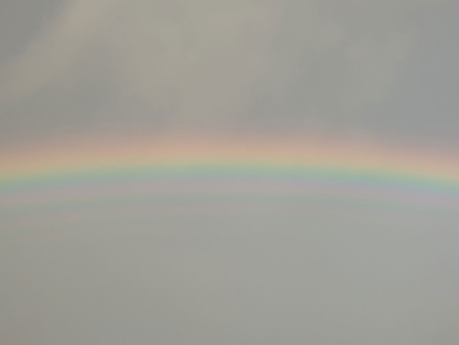 Love profile banner