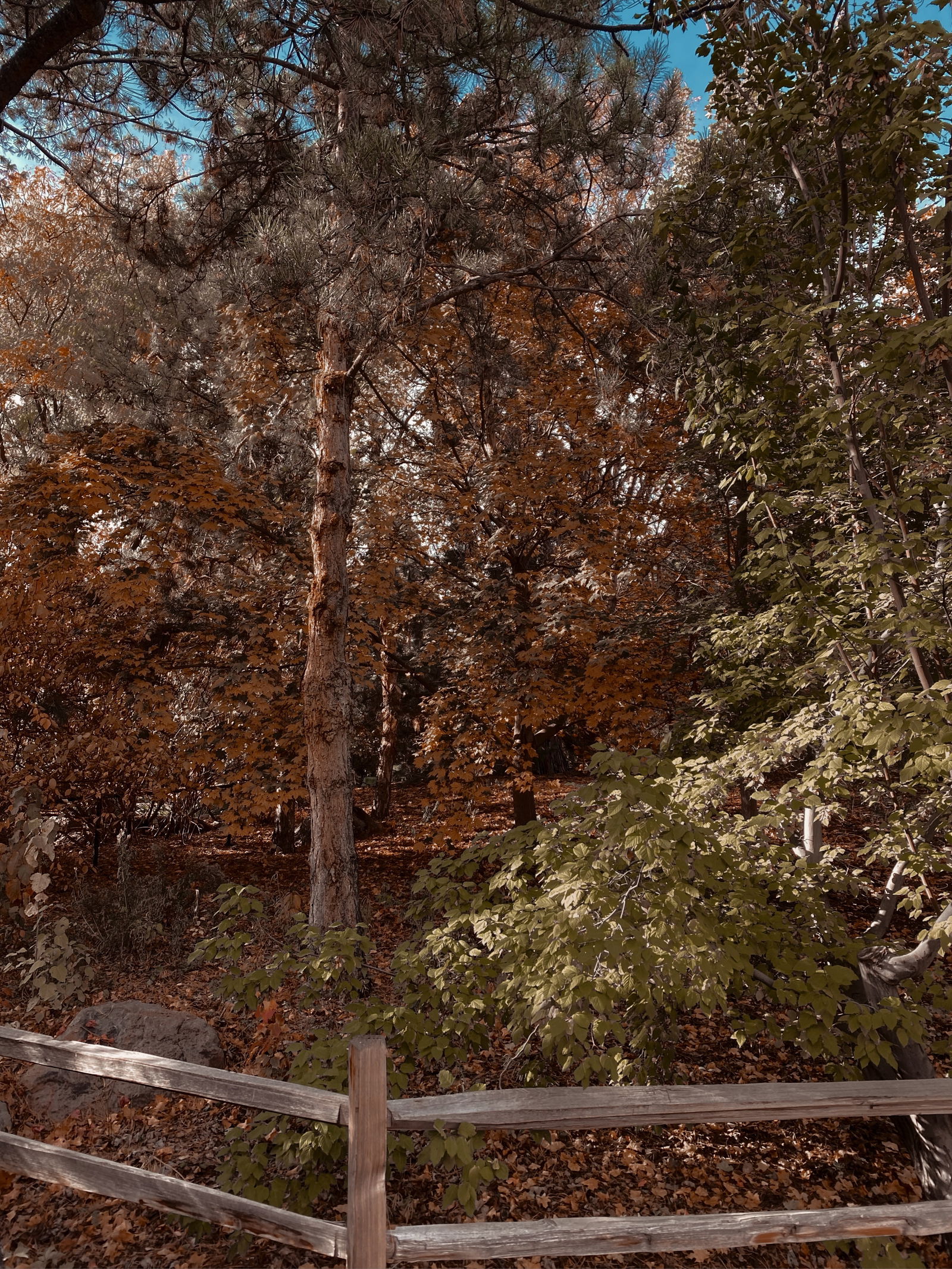 slim profile banner