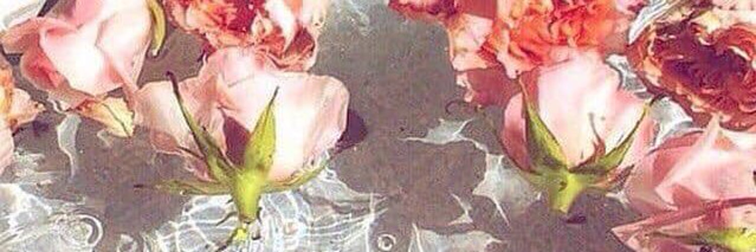 nicole opal profile banner
