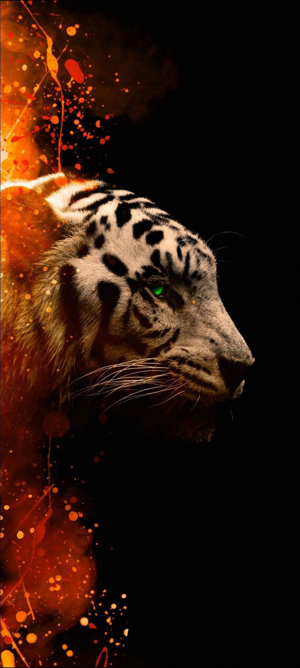 Serge profile banner