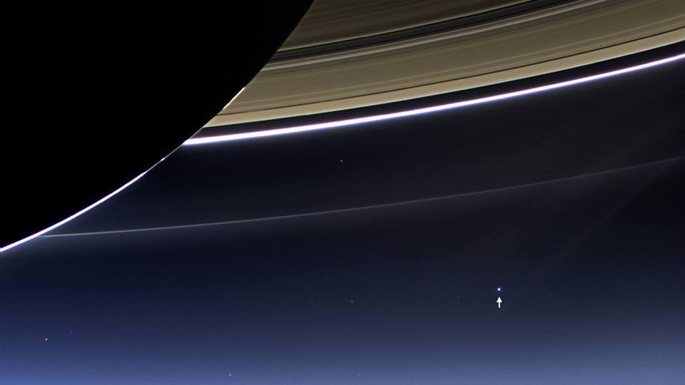 Neal profile banner