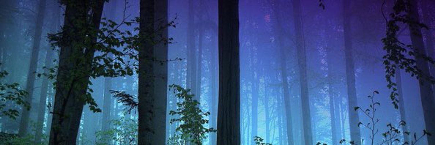 Lilly π profile banner