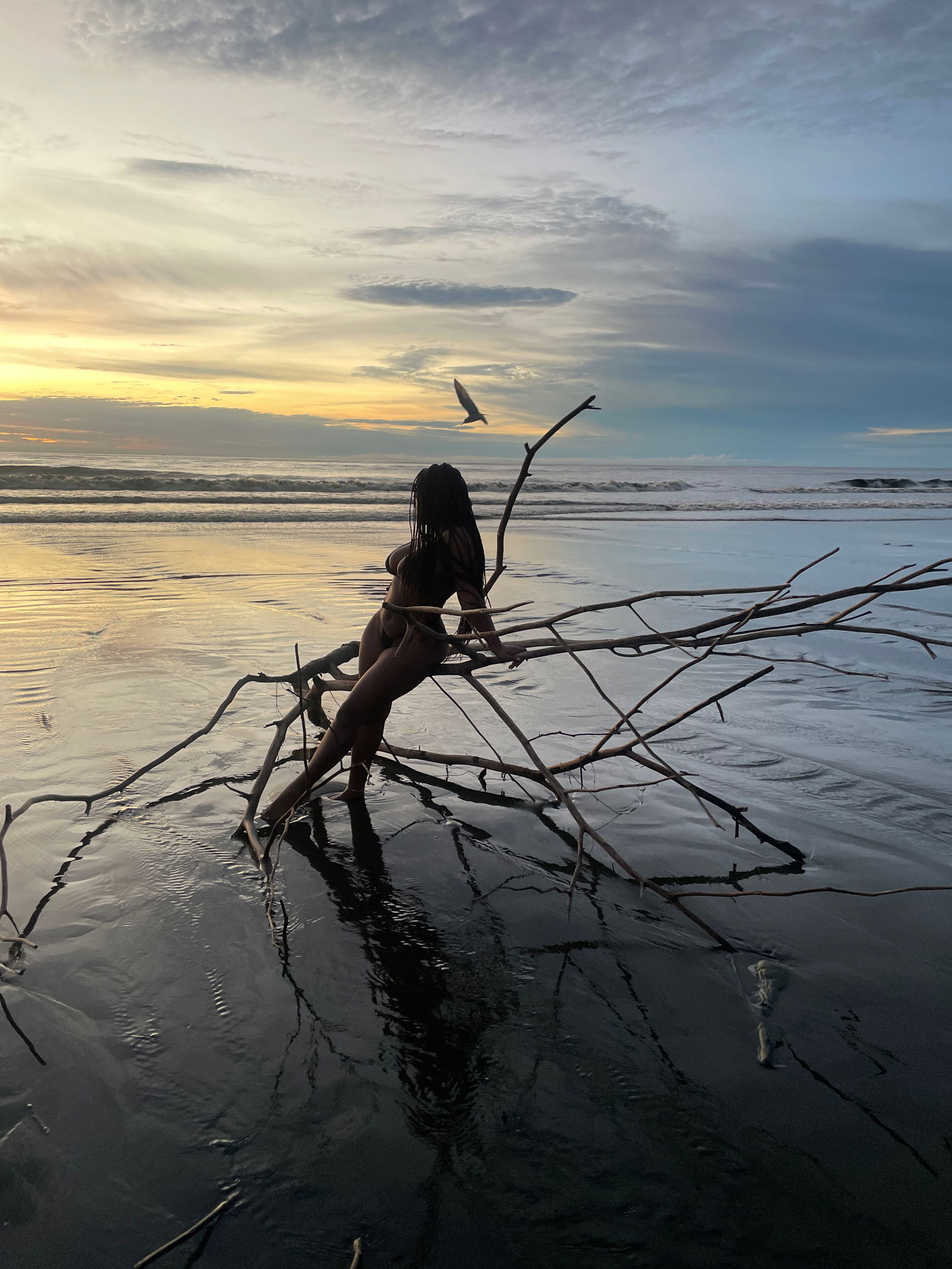 Camila Ruiz π profile banner