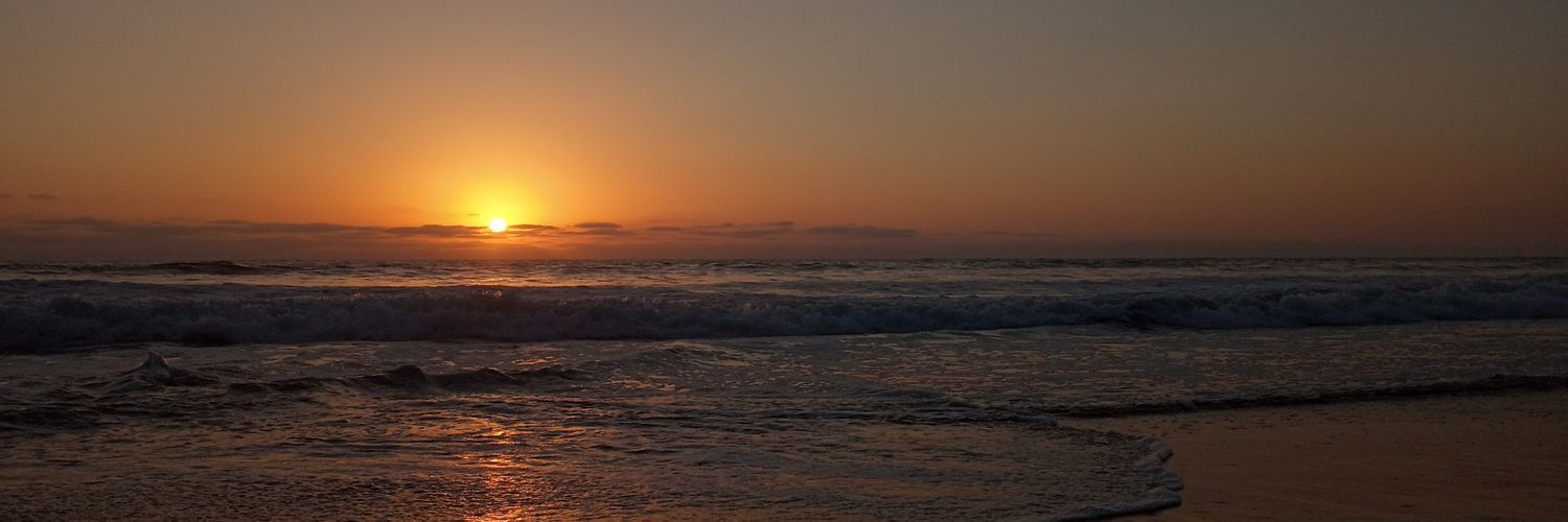 Beach Tiger profile banner