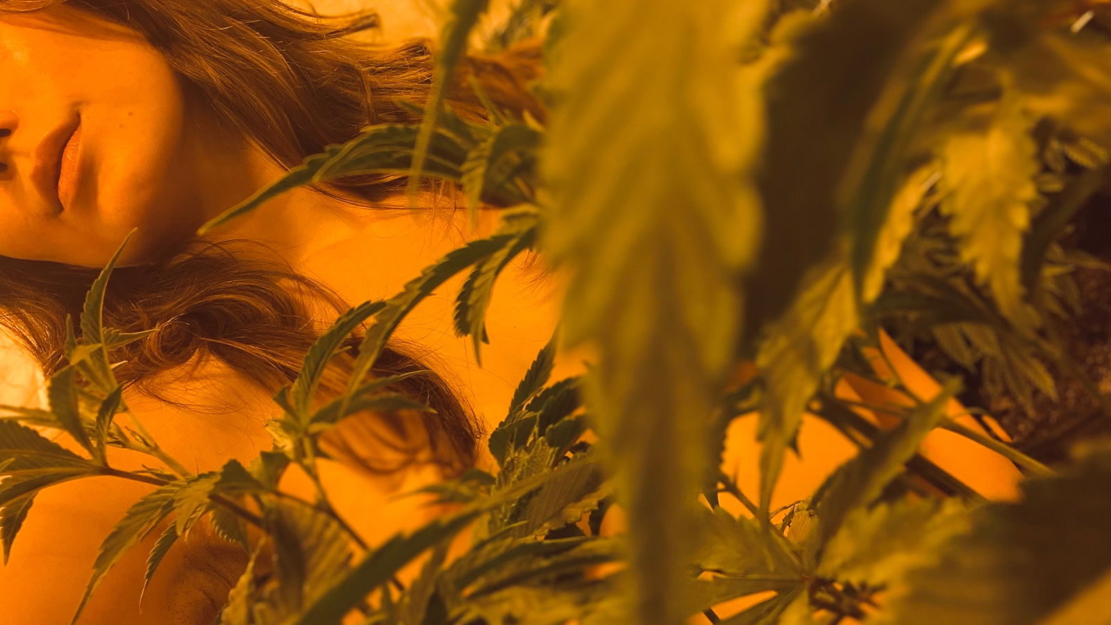 Sexy Smokes profile banner