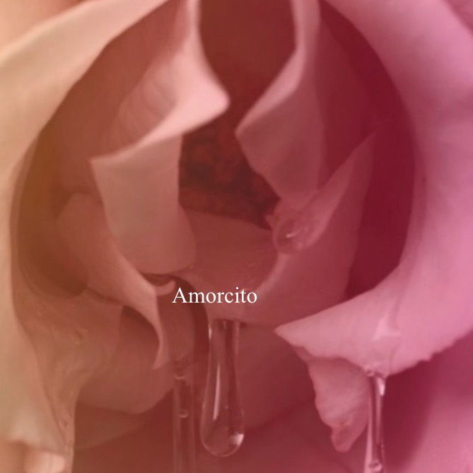 Mamacita Lexi profile banner
