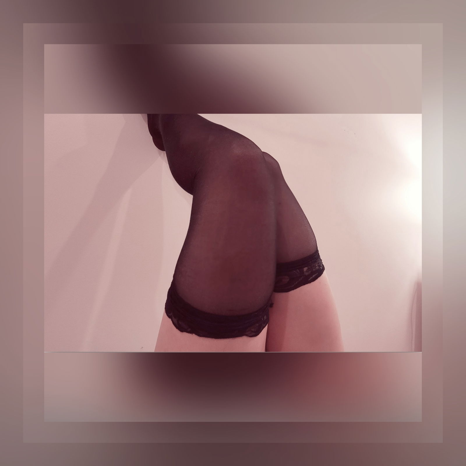 Sexy Red Dahlia profile banner