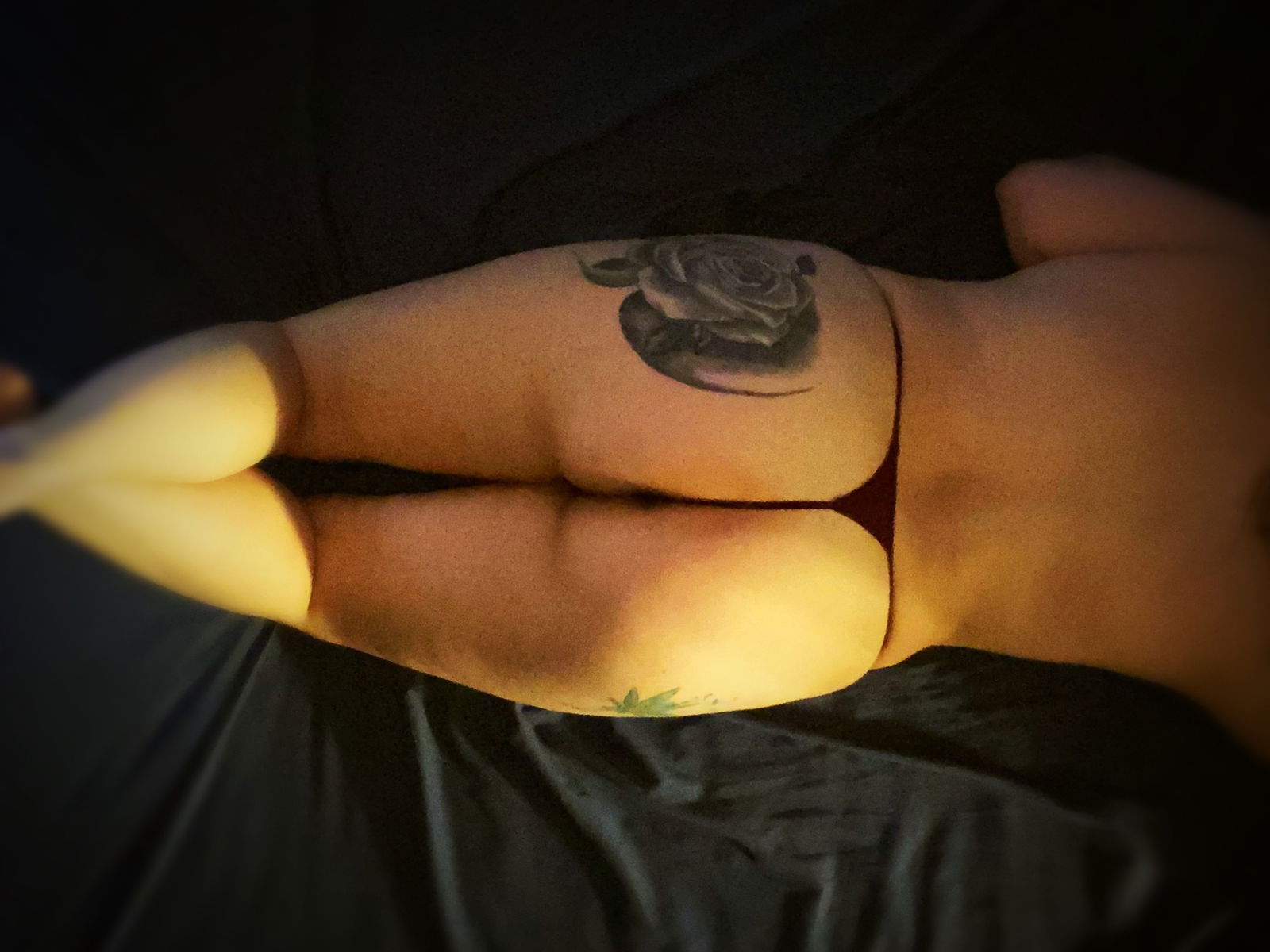 ๐น Allie rose ๐น profile banner