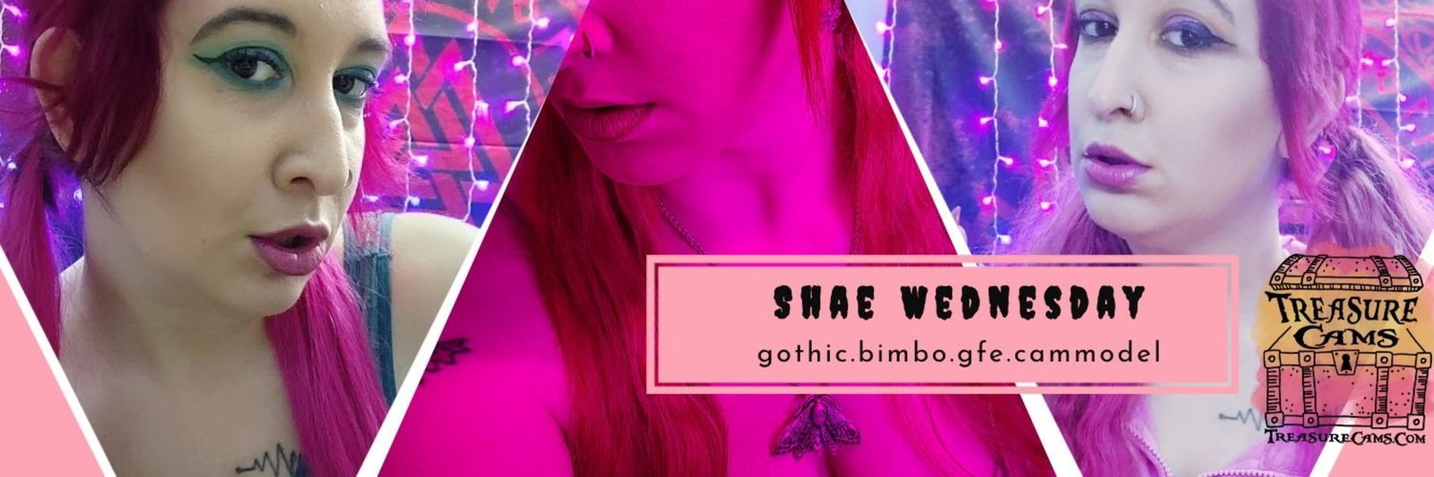 Shae Wednesday profile banner