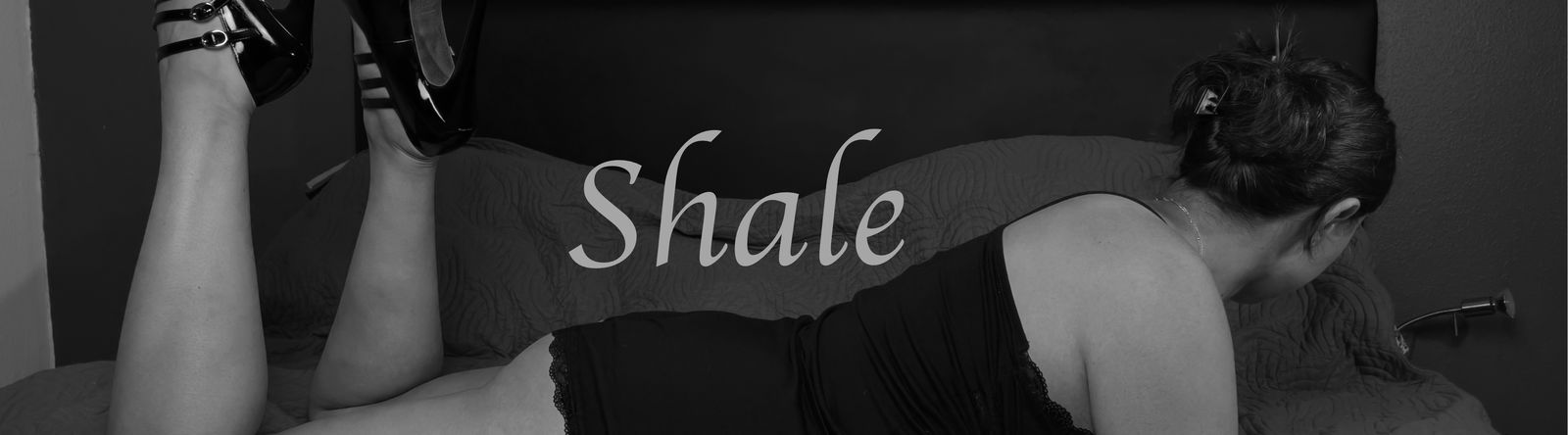 Shale profile banner