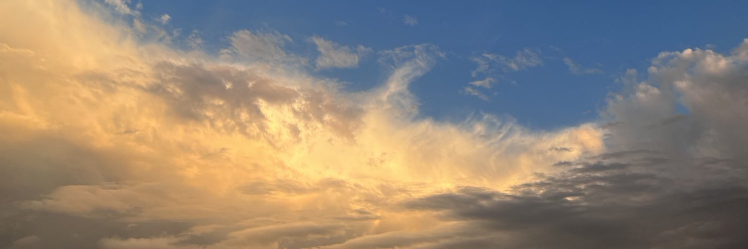 Shay profile banner