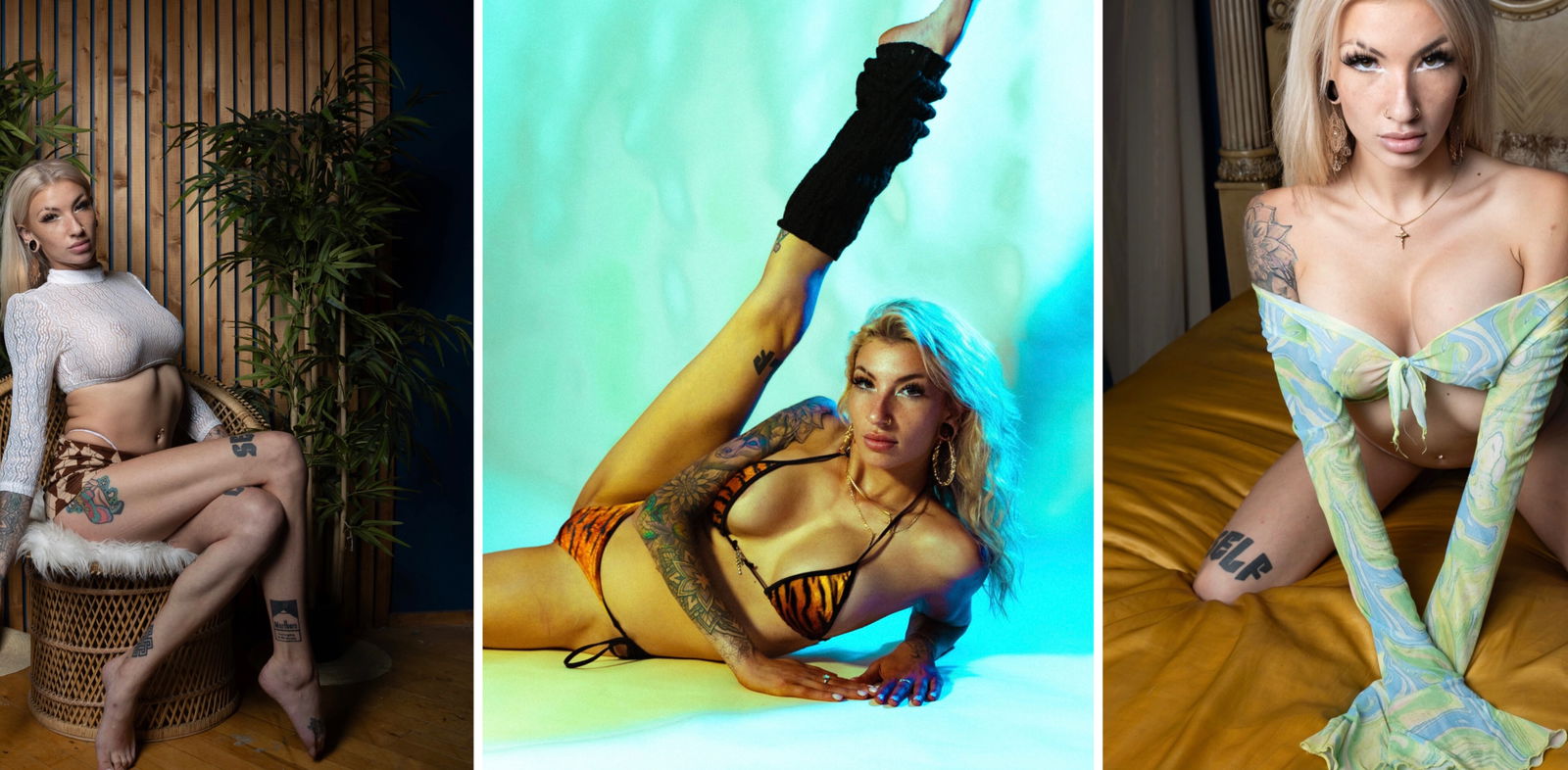 shayspice banner