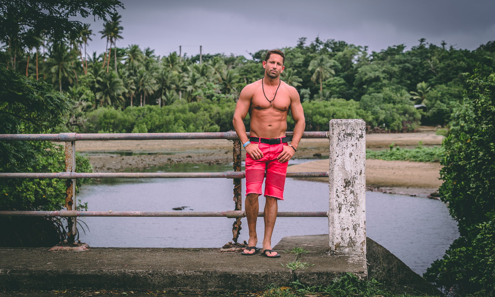 Shea lewis profile banner