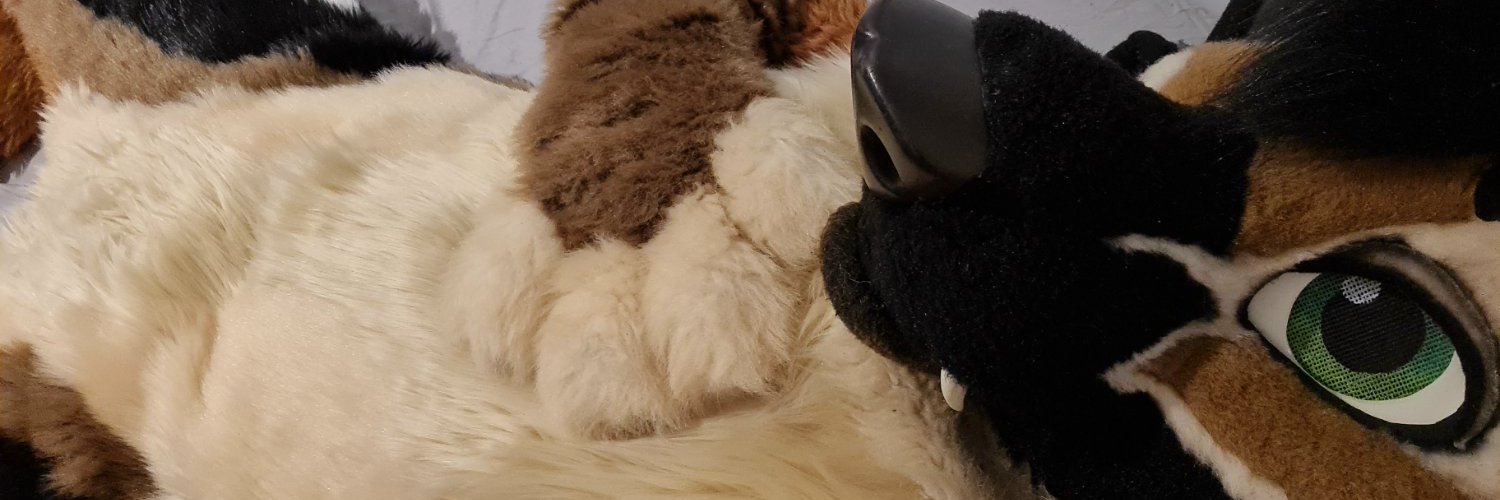 UnzippedShep profile banner