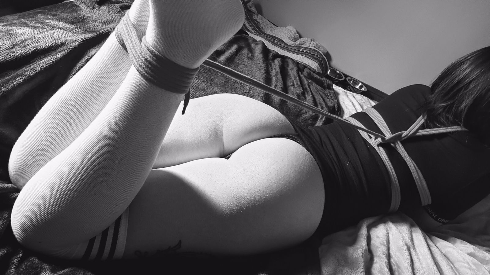 ✖️ Kitten ✖️ profile banner
