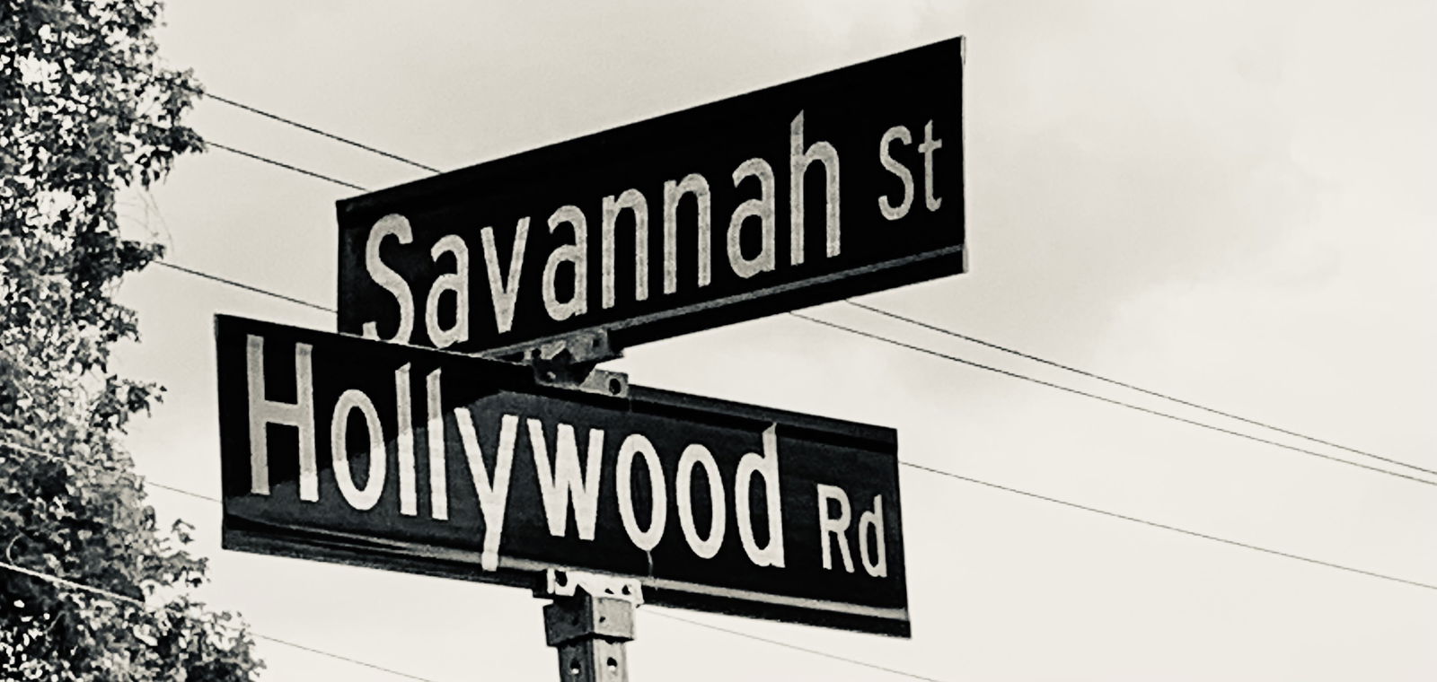 Savannah Hollywood profile banner