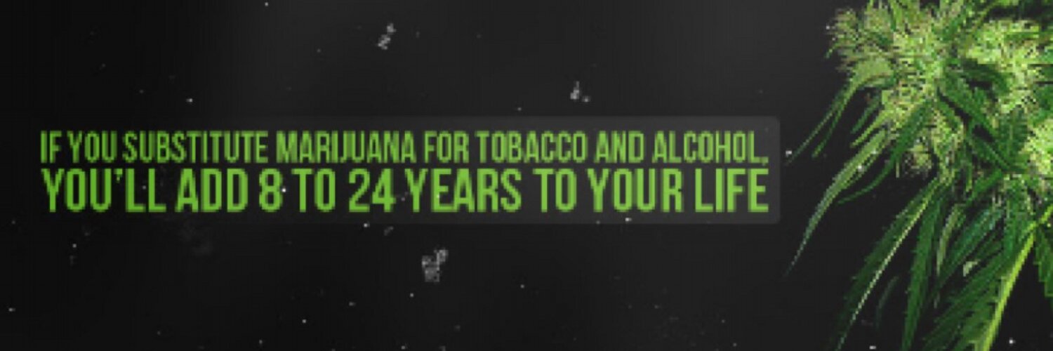 shortyonline banner