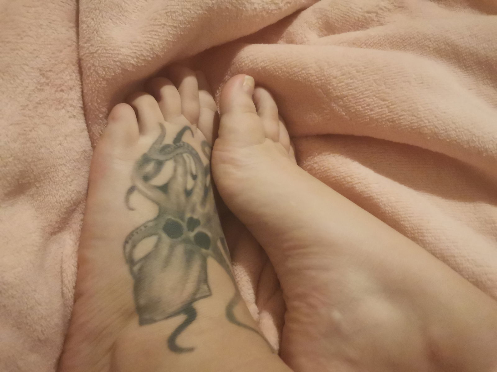 ShyFeet🐙 profile banner