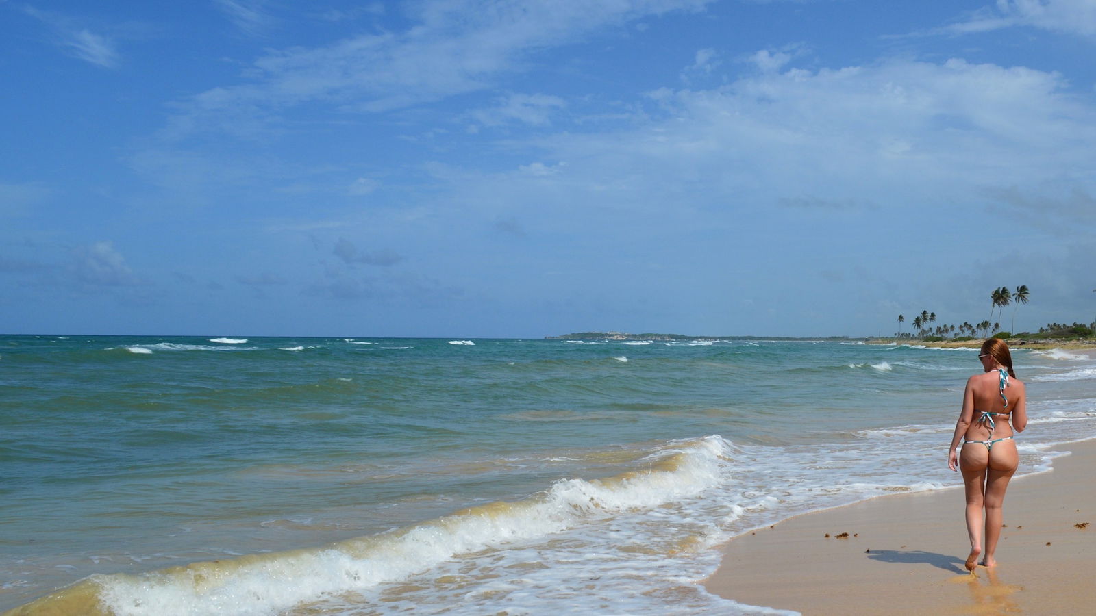 Ashley Shy profile banner
