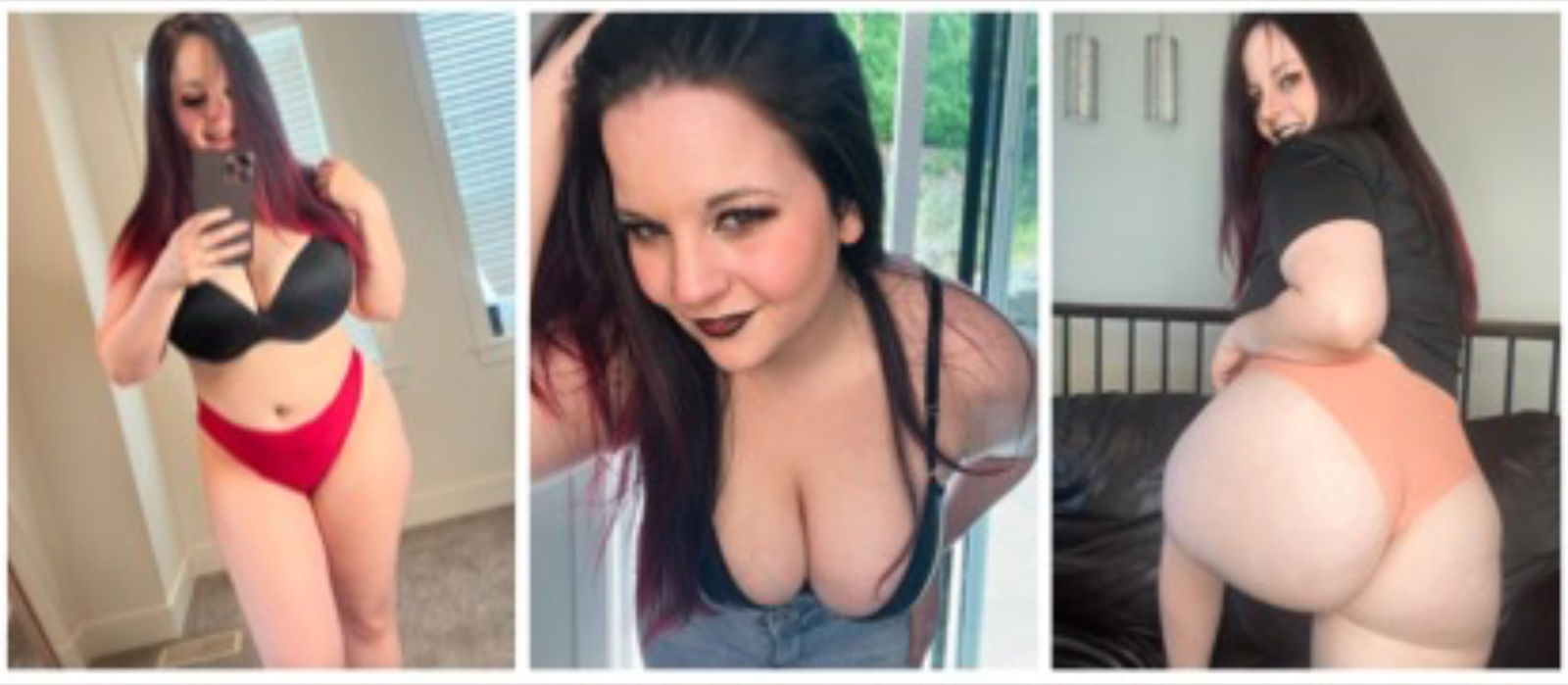 sierranyx banner