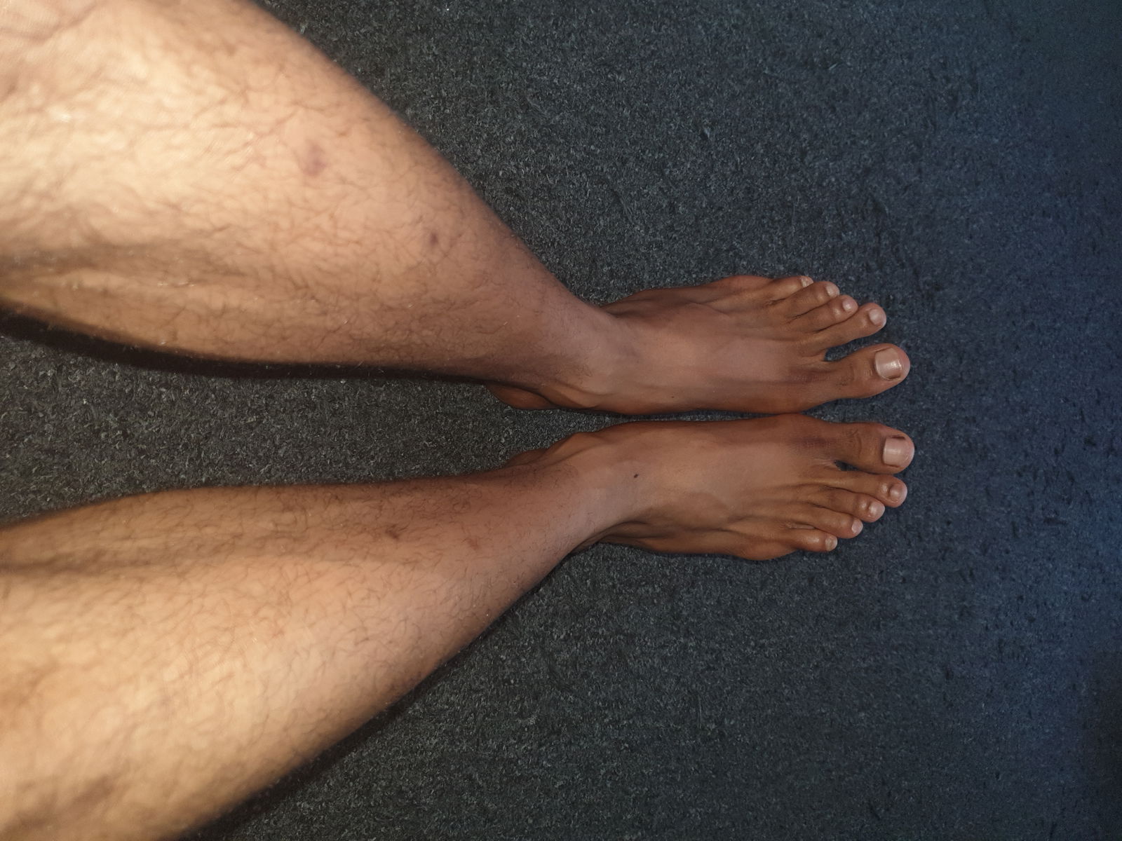 Silky Big Feet profile banner