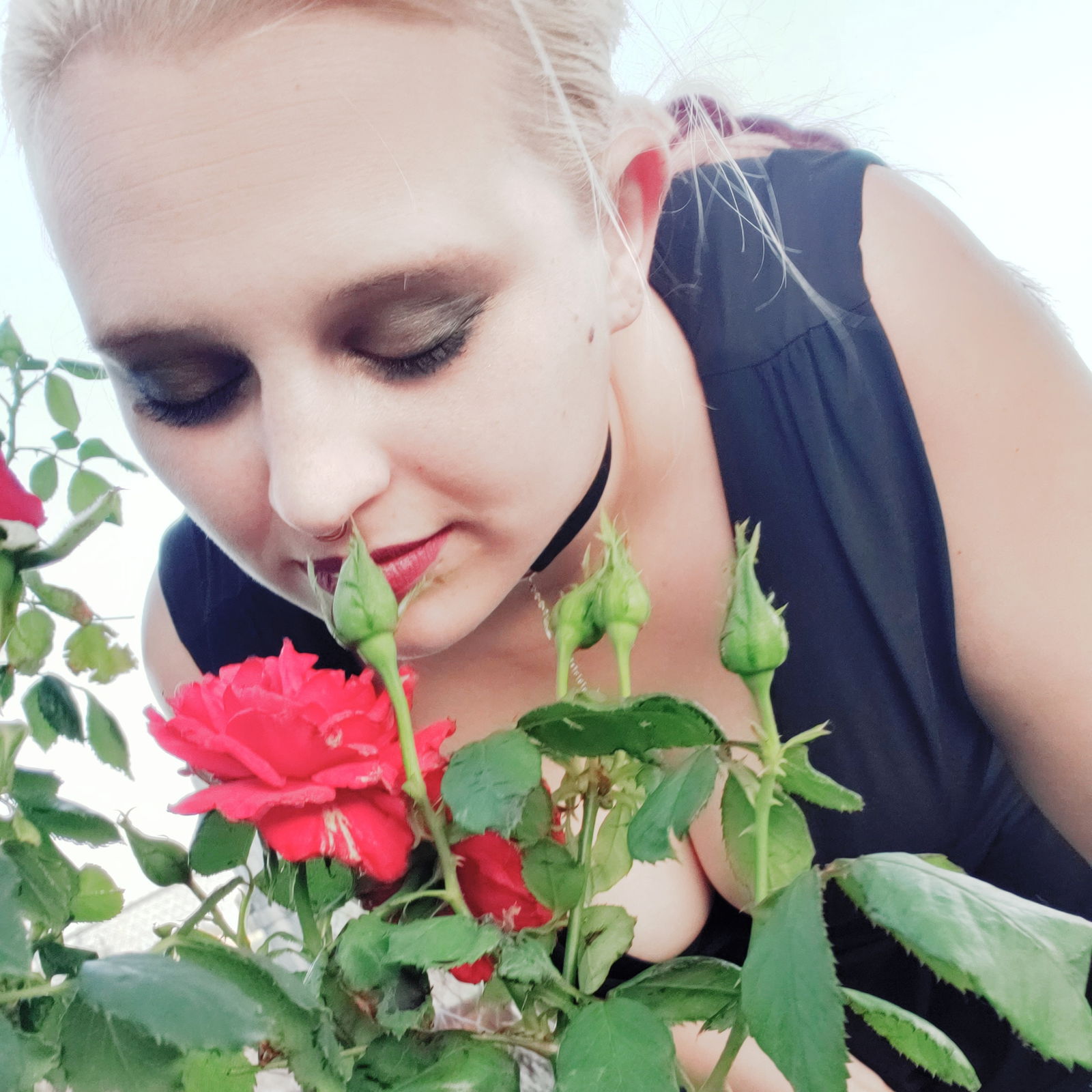 SillyHippie profile banner