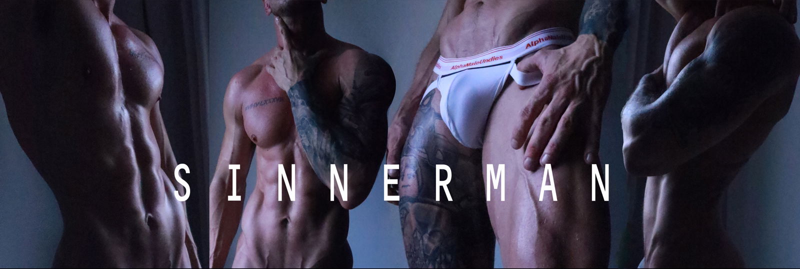 Aston Sinnerman ✨VIP✨ profile banner