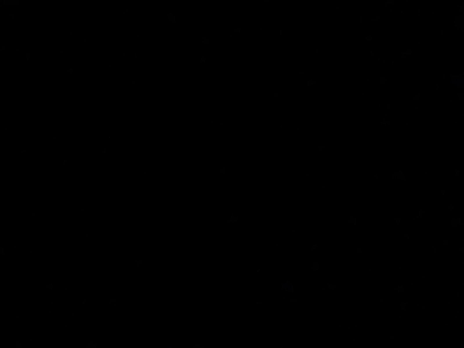 Andrea profile banner