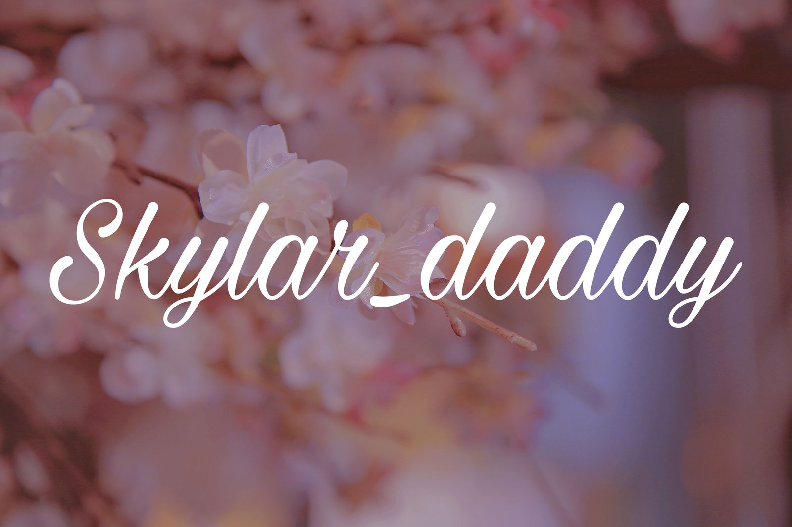 Skyalr profile banner