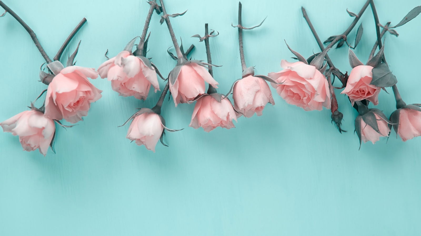Skyler Lo profile banner