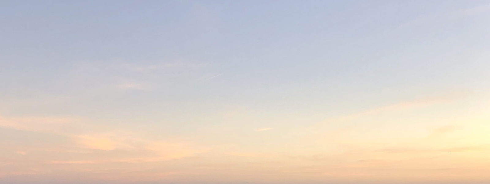 slimthicctori profile banner