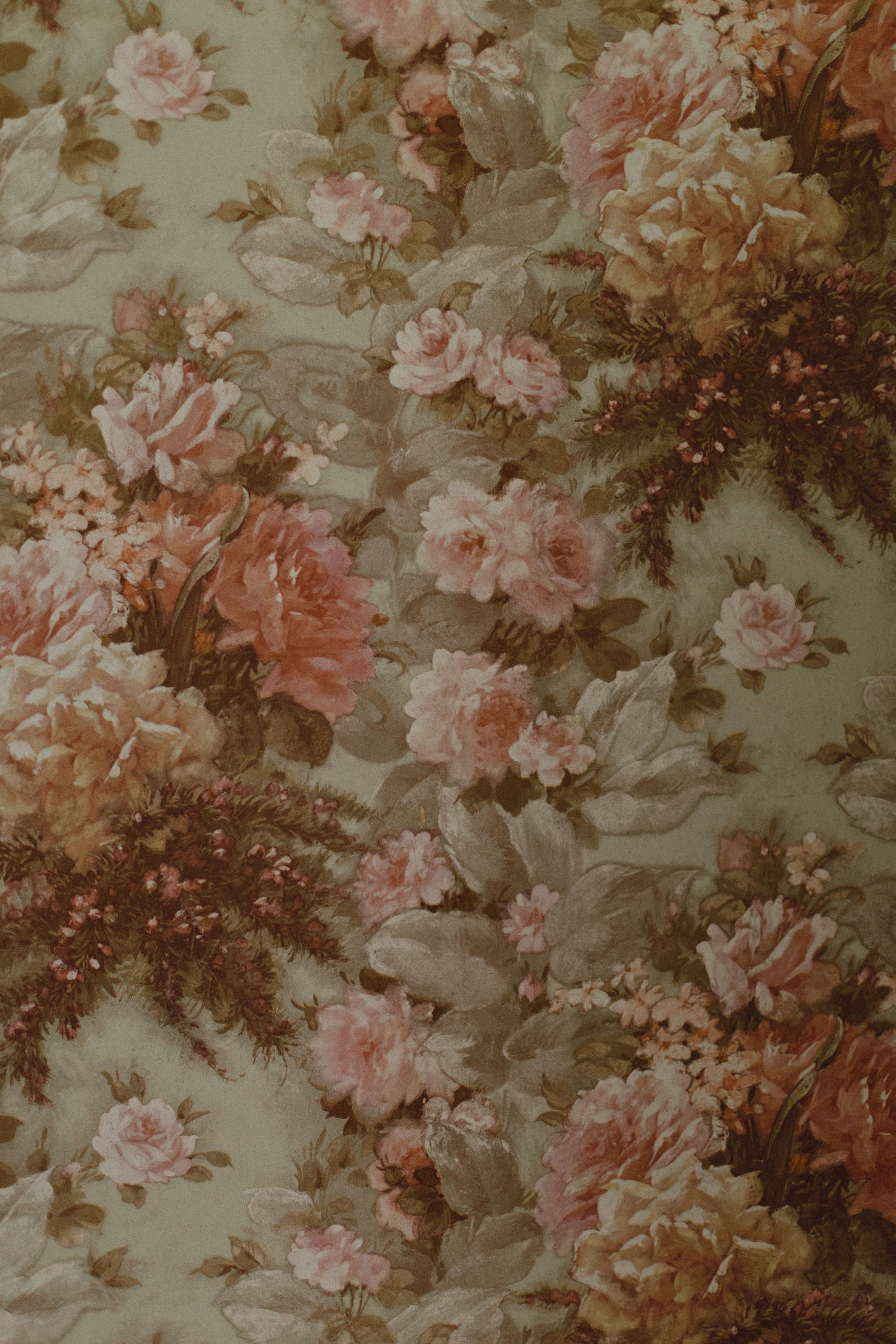 π°π©π¬ππ«π’π©πΆ profile banner