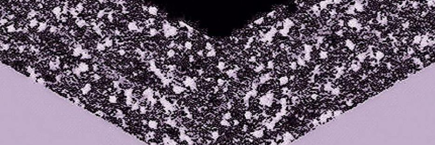 Sarah Hansen profile banner