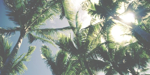 Smooth Thicc Btm profile banner