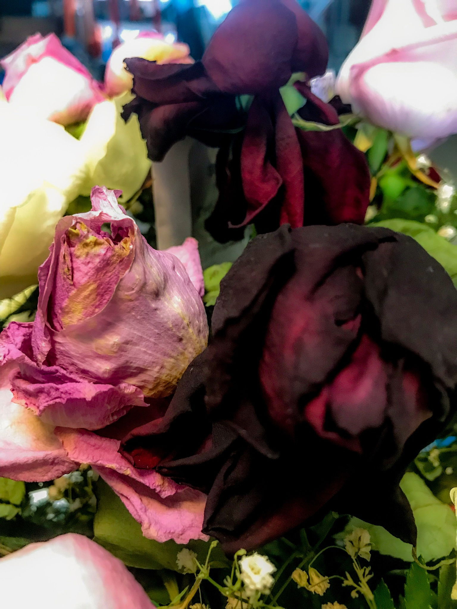 JuicyJxxx profile banner