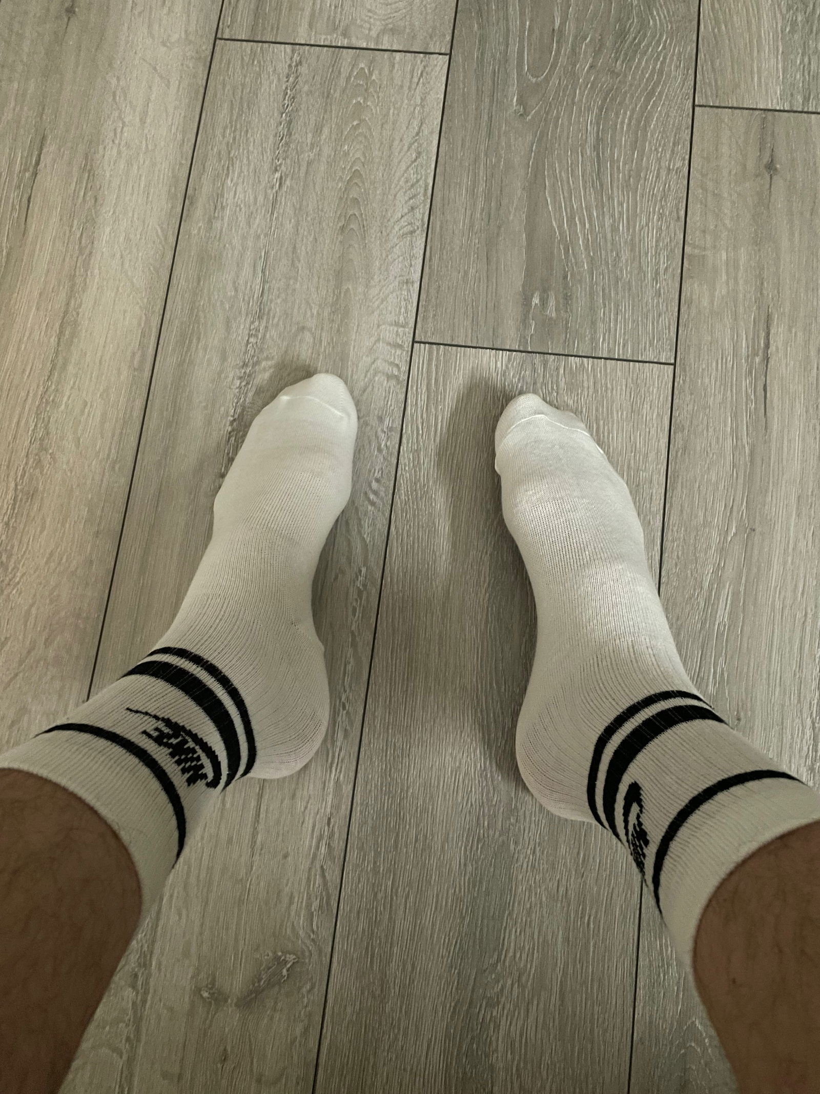 SockJock profile banner