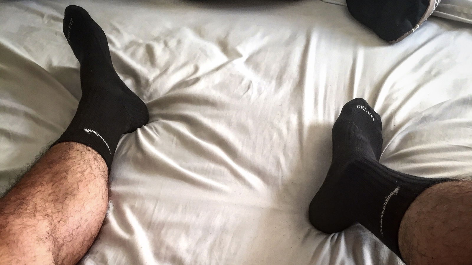 SockJock profile banner