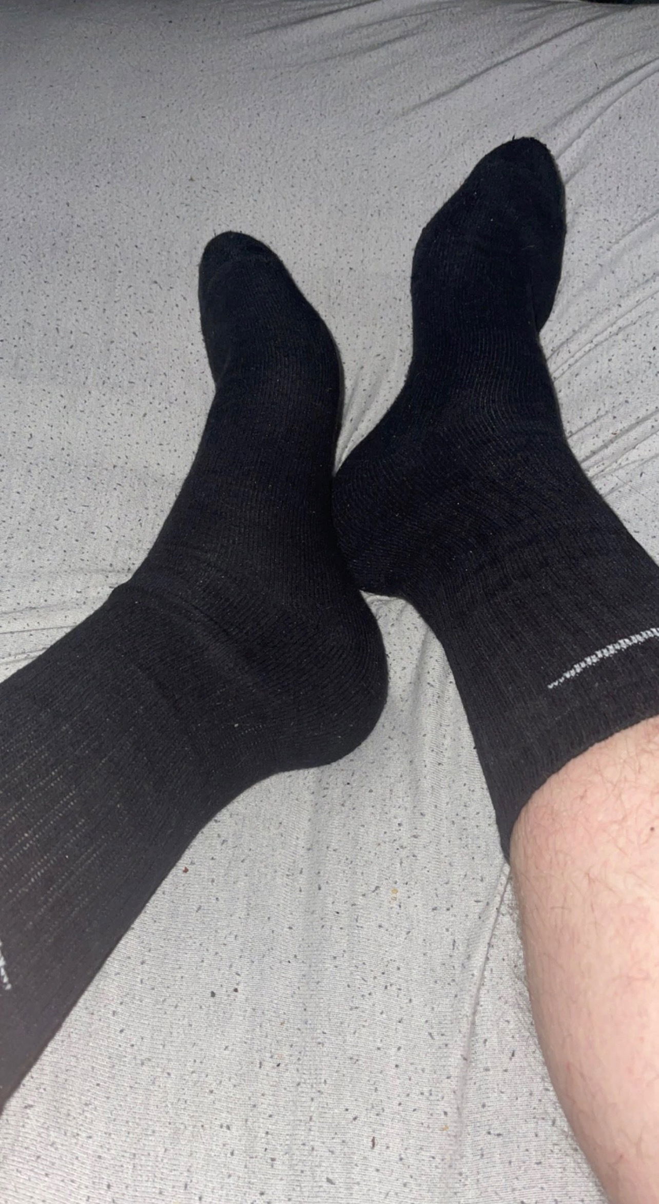 SocksKing profile banner