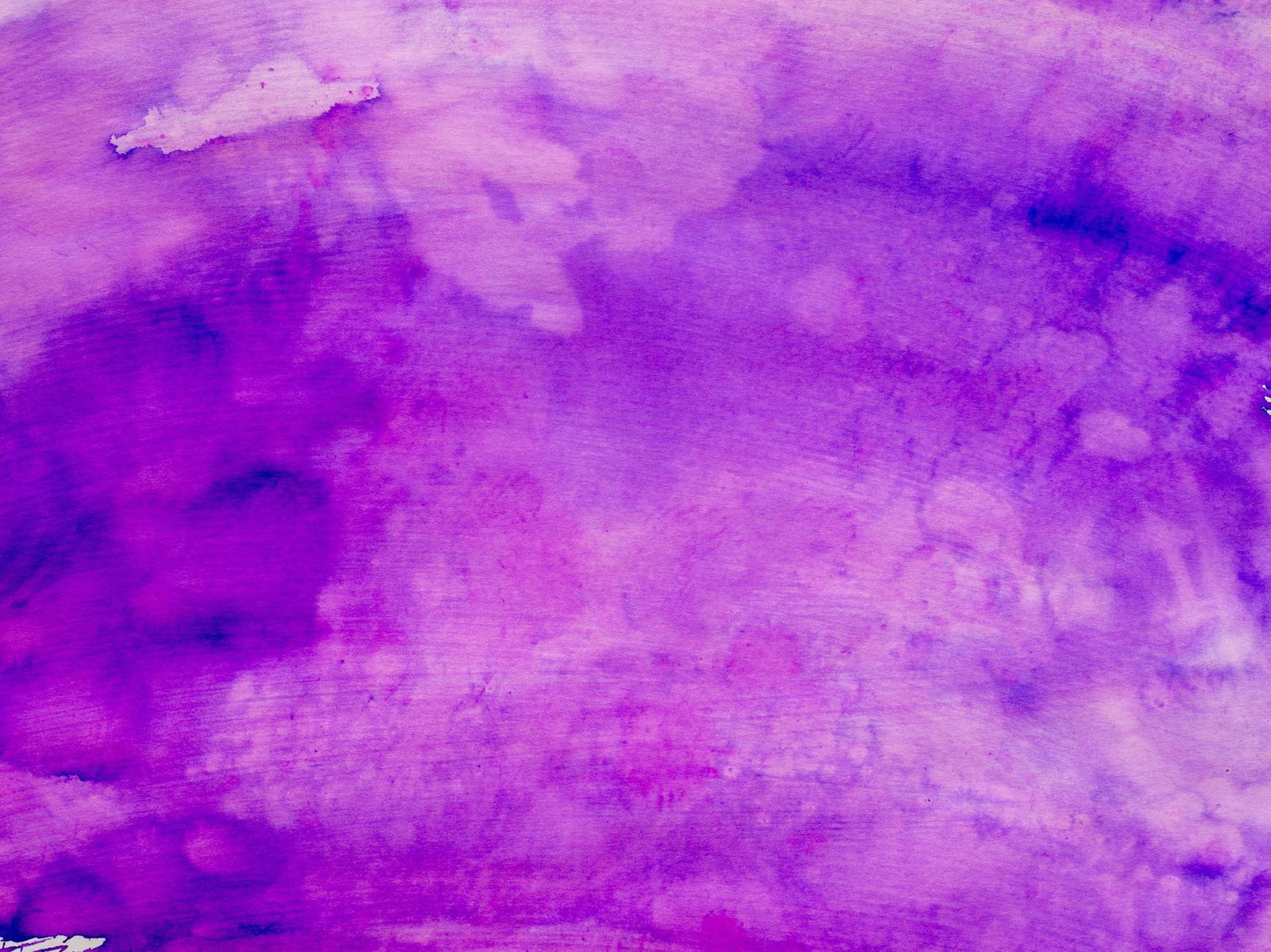 Sofia π profile banner