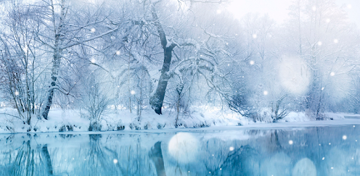 ❄ SnowFlakes ❄ profile banner