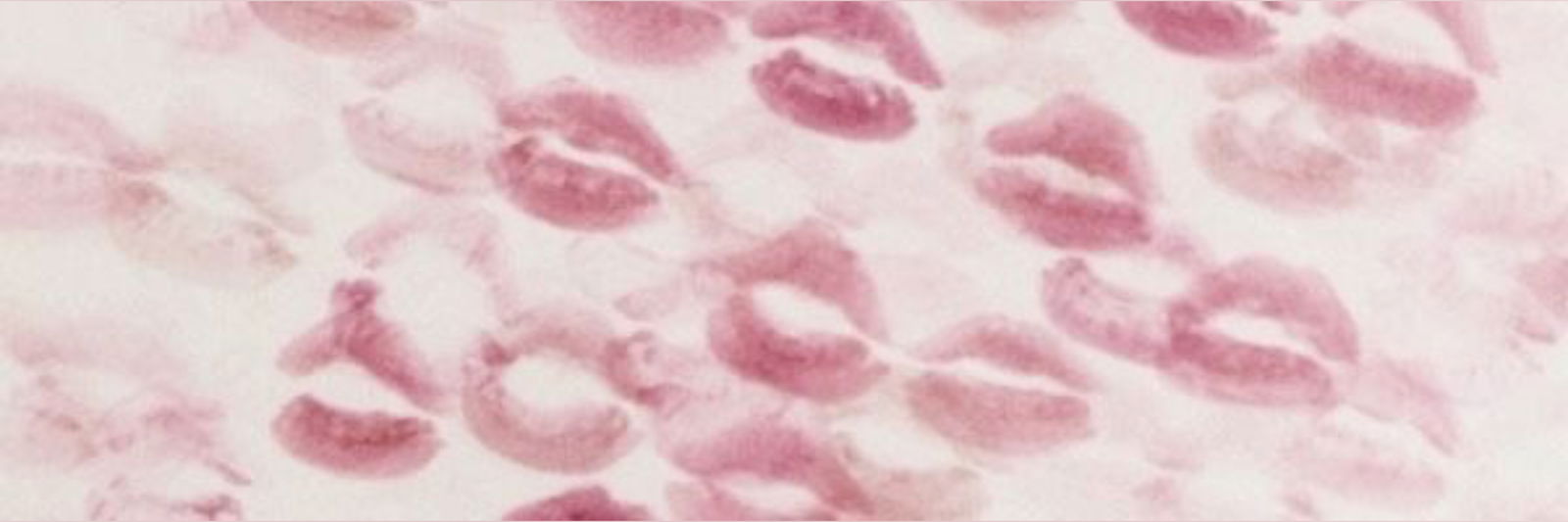 hannah b profile banner