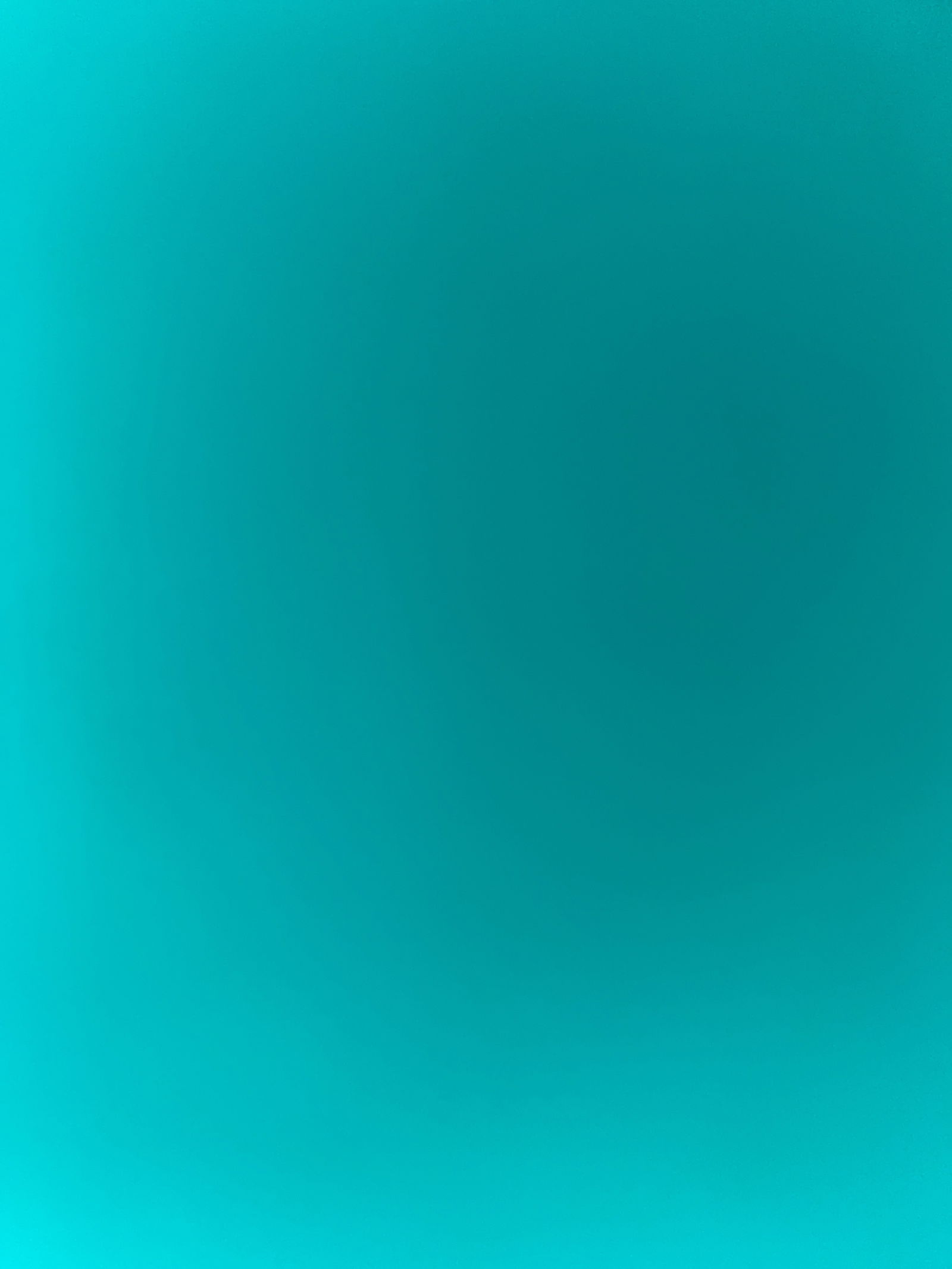 Sofia profile banner